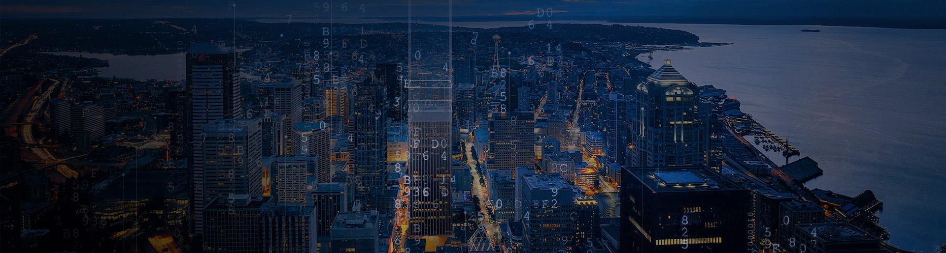 案例展示